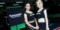 Grid Girls - sierpień 2015