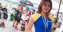 Grid Girls - sierpień 2015