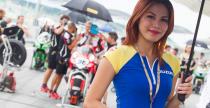 Grid Girls - sierpie 2015