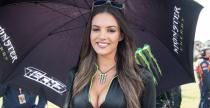 Grid Girls - październik 2016