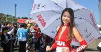 Grid Girls - październik 2016