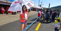 Grid Girls - padziernik 2016