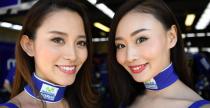 Grid Girls - październik 2016