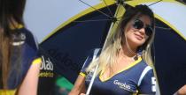 Grid Girls - padziernik 2016