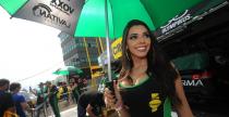 Grid Girls - wrzesień 2016