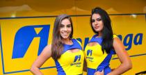 Grid Girls - listopad 2017