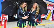 Grid Girls - listopad 2017