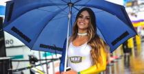 Grid Girls - listopad 2017