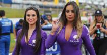 Grid Girls - listopad 2017