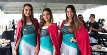 Grid Girls - listopad 2017