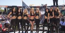 Grid Girls - listopad 2017