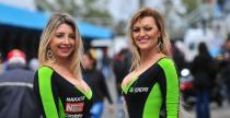 Grid Girls - padziernik 2017