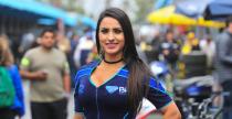 Grid Girls - padziernik 2017