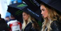 Grid Girls - październik 2017