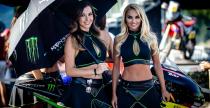 Grid Girls - sierpie 2018