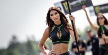 Grid Girls - sierpień 2018