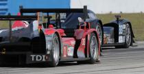 ILMC, 12h Sebring: Oreca ograł fabryczne Peugeoty i Audi