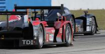 ILMC, 12h Sebring: Oreca ogra fabryczne Peugeoty i Audi