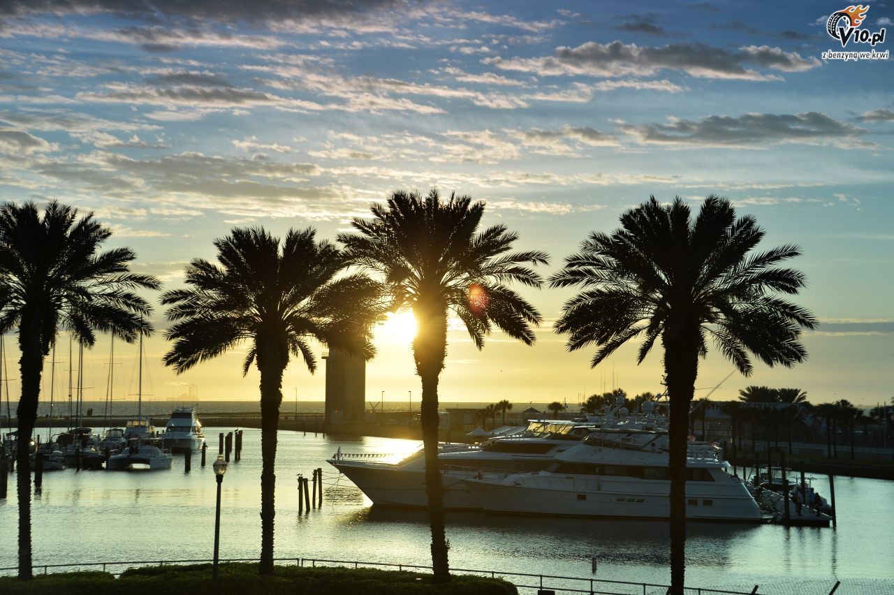 IndyCar - St. Petersburg 2015
