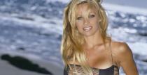 Pamela Anderson poprowadzi zespół wyścigowy w FIA GT Series