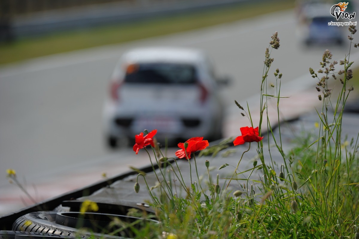 Kia Lotos Race - Zandvoort 2014