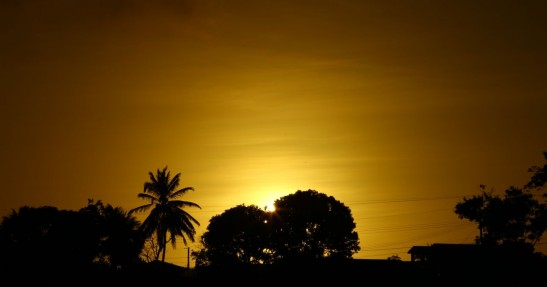 Race of Champions 2014