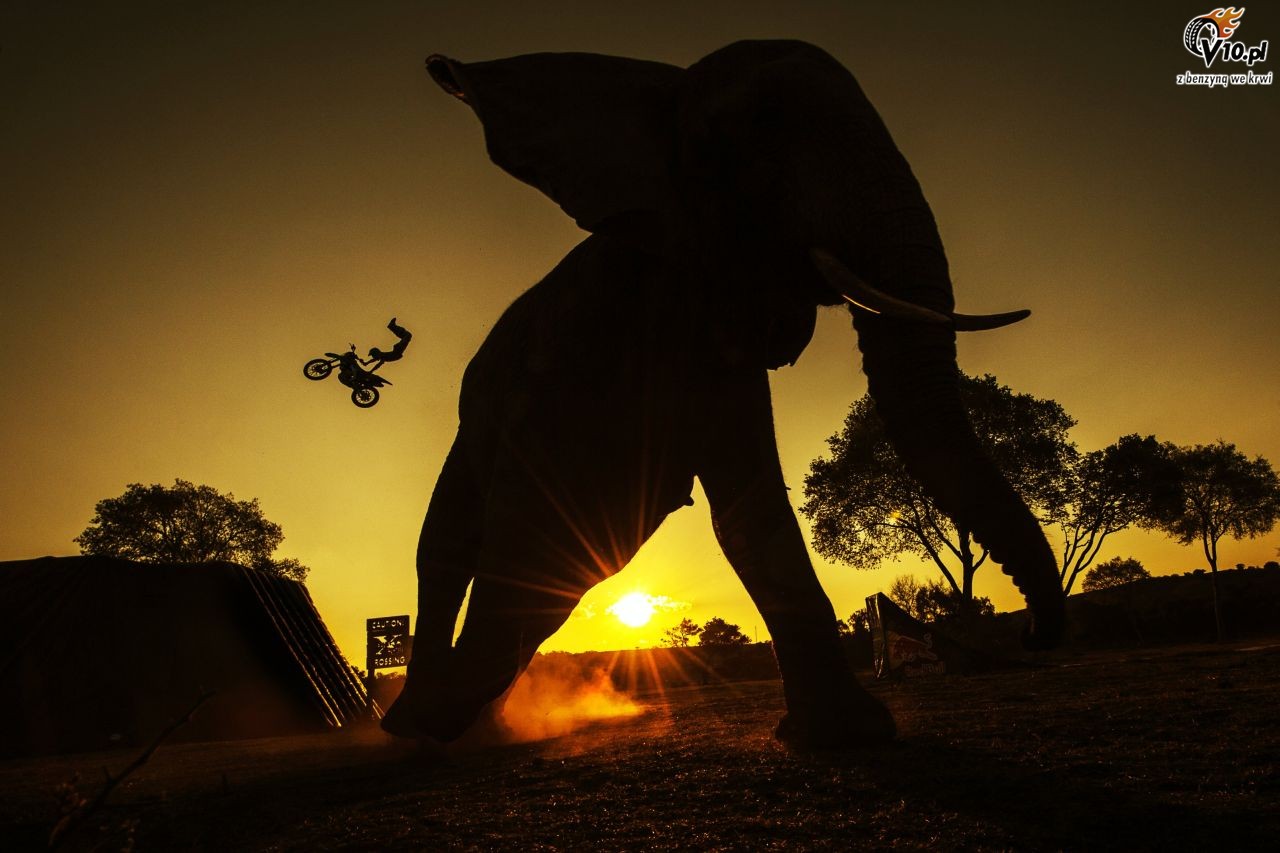 Red Bull X-Fighters - Pretoria 2015