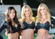 Grid Girls - styczeń 2014
