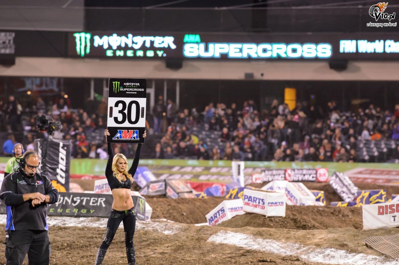 Grid Girls - luty 2014
