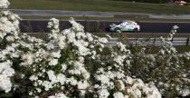 WTCC - Hungaroring 2013