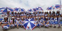 WTCC - Hungaroring 2014