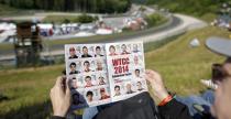 WTCC - Salzburgring 2014