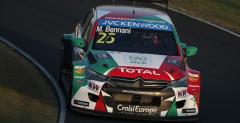Zespół Loeba zostaje w WTCC