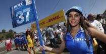 Grid Girls - lipiec 2015