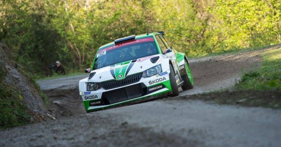 WRC: Były szef Volkswagena namawia zespoły na Mikkelsena