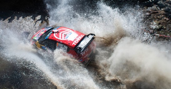 WRC - Rajd Meksyku 2019