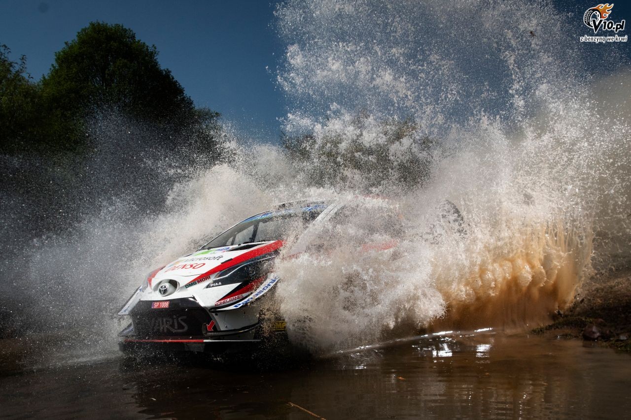 WRC - Rajd Meksyku 2019