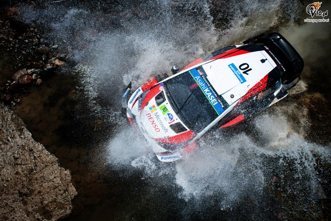 WRC - Rajd Meksyku 2019