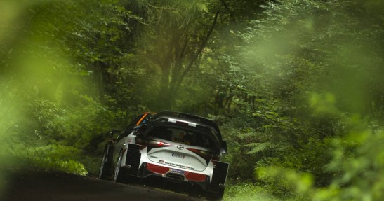 WRC - Rajd Niemiec 2017