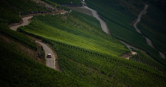 WRC - Rajd Niemiec 2018