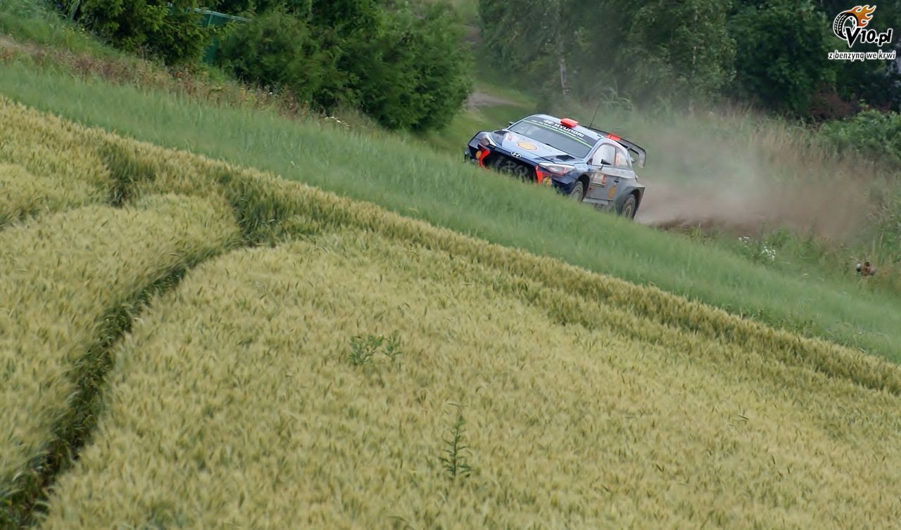 WRC - Rajd Polski 2017 w obiektywie Roberta Jaroni