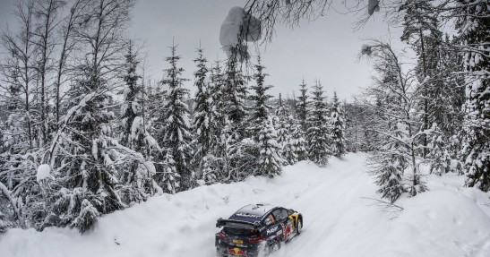 WRC - Rajd Szwecji 2018