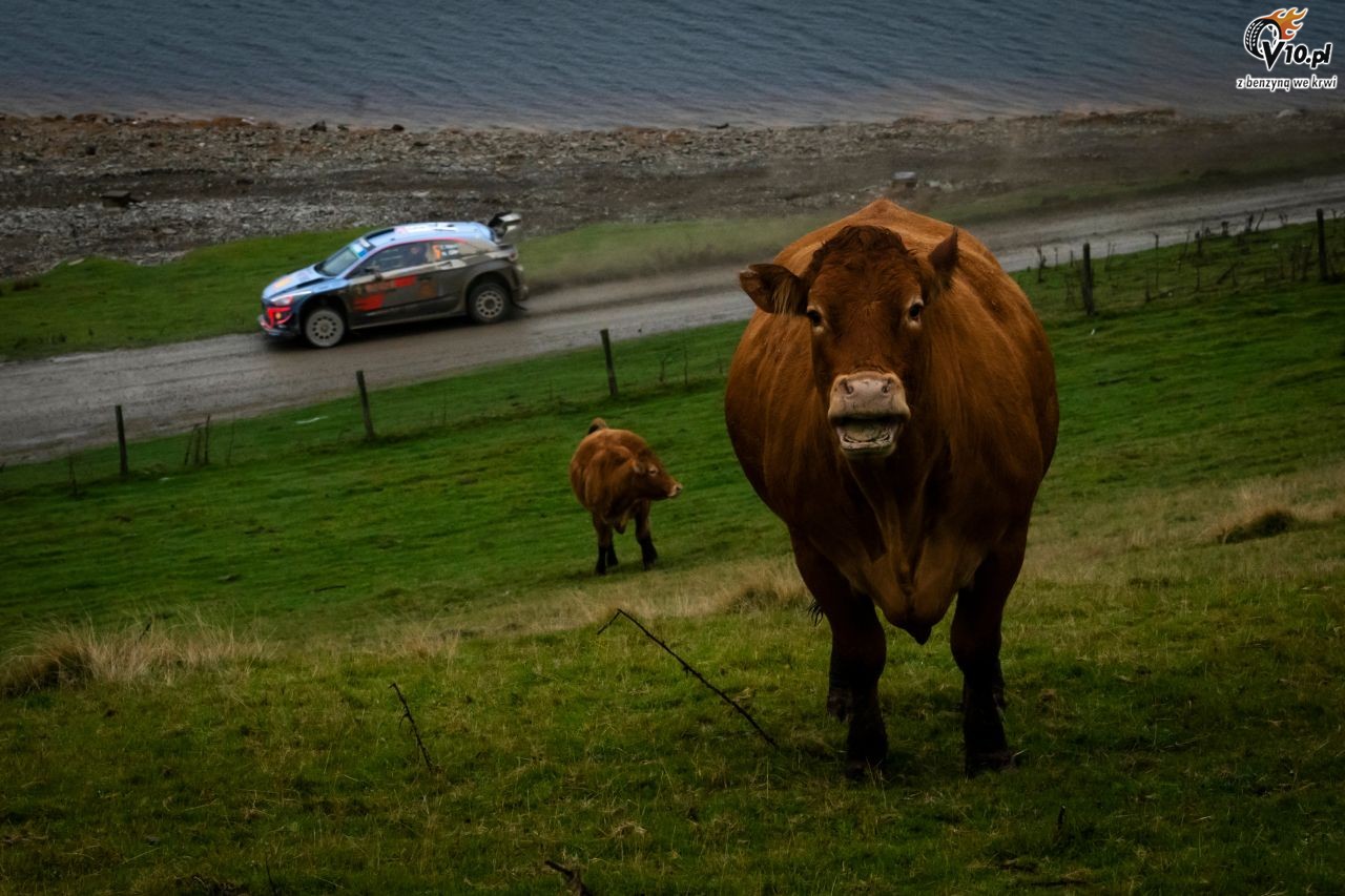 WRC - Rajd Wielkiej Brytanii 2018
