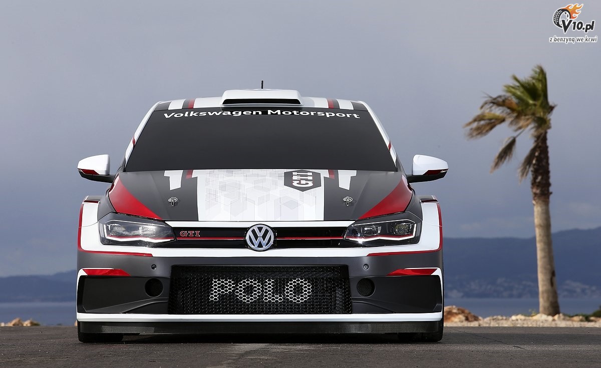 Volkswagen Polo GTI R5 w penej krasie