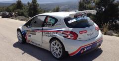 Peugeot 208 T16 w sezonie 2014