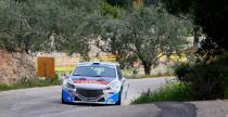 Peugeot 208 T16 w sezonie 2014