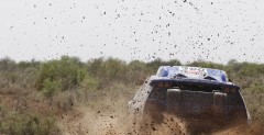 Rajd Dakar 2011, dzie 14: Przemylenia czowki