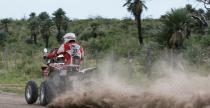 Rajd Dakar 2011, dzie 9: Szara Volkswagenw, fenomenalny askawiec