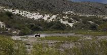 Dakar 2013