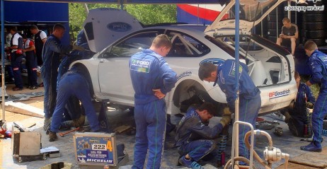 Mechanicy pracuj przy Focusie WRC